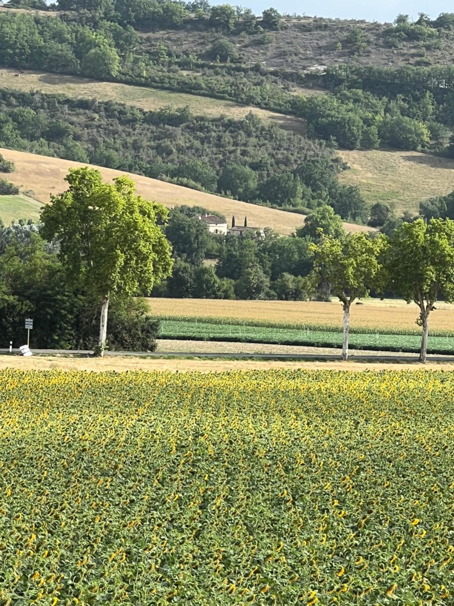 Bed and Breakfast La Bastide De La Bogne Vindrac-Alayrac Екстер'єр фото